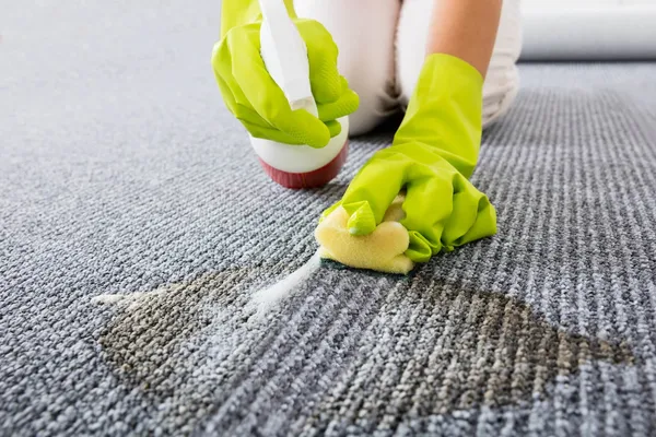 Image Source: carpetcleaning.com